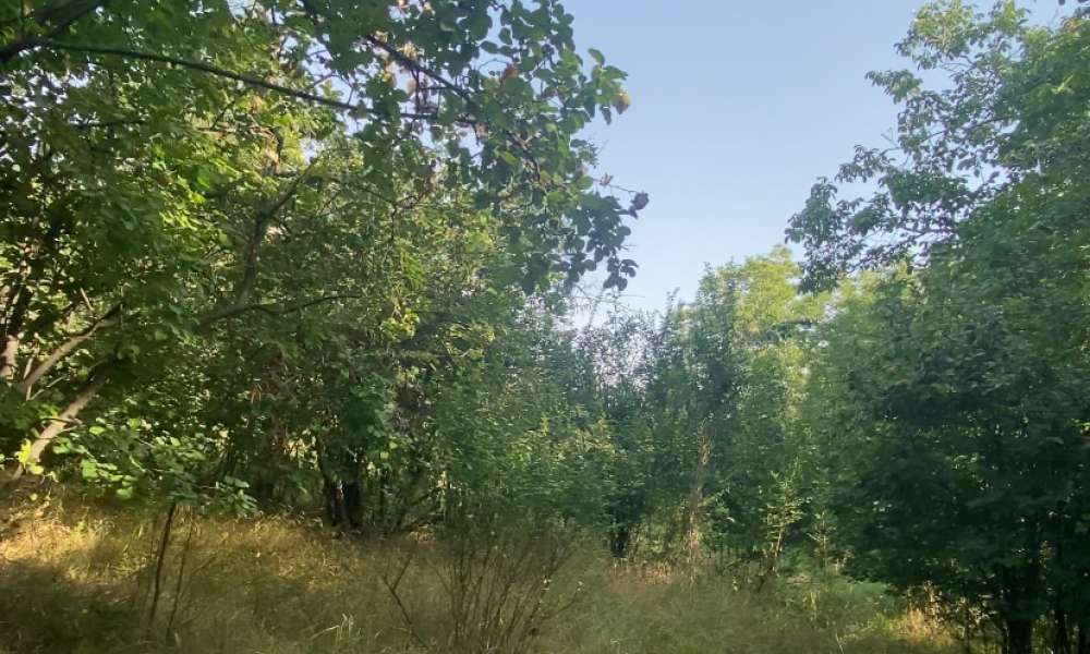 تصویر 2