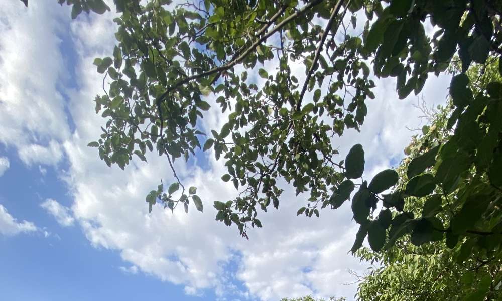 تصویر 6