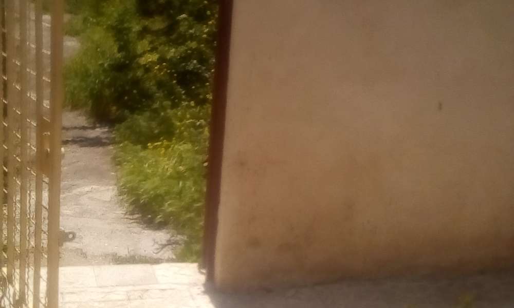 تصویر 3